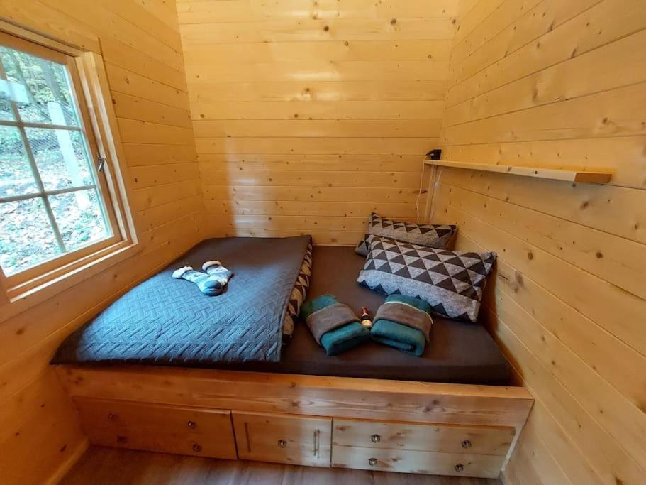 Апартаменты Tiny House Am Teich Garnsdorf Экстерьер фото